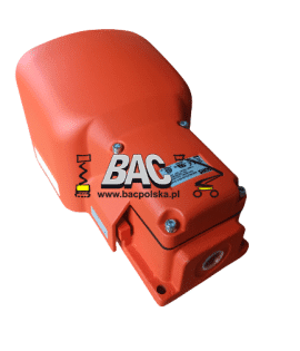 Foot switch 1020521022 - BAC Poland AWP spare part
