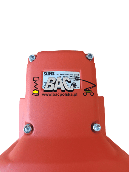 Foot switch 1020521022 - Product gallery image - BAC Poland AWP parts