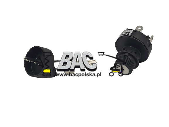 Key switch 1020520943 - BAC Poland AWP spare part