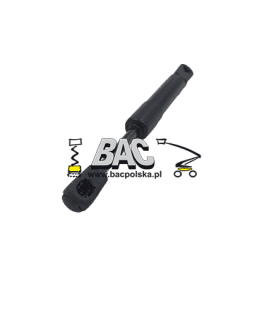 Gas Spring ZS0407 patholes 110100346 - BAC Poland AWP spare part