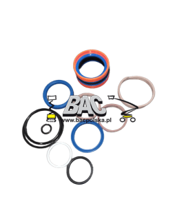 Oil Cylinder Sealing ZS0407  1081009020 - BAC Poland AWP spare part
